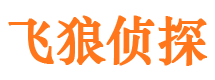 汉川市调查公司